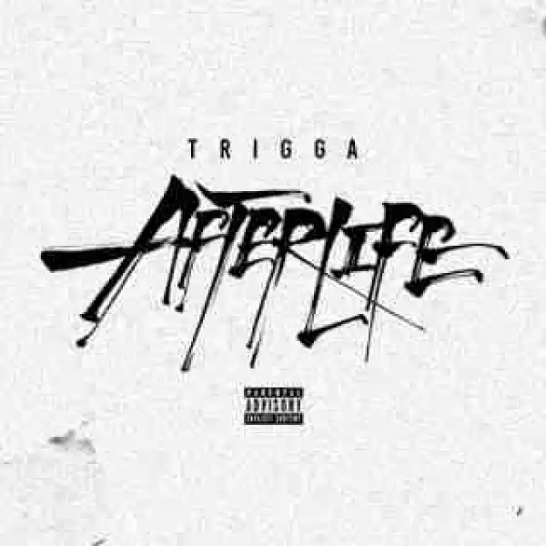Instrumental: Trigga - After Life (Produced By YungCrypGotHitz)